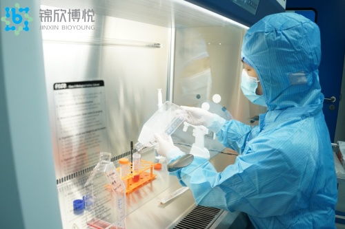 揭秘人体抗衰新前沿 干细胞技术引领的三大路径